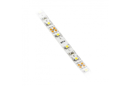 GTV Taśma Flash 3528, 300 LED neutralny biały 4000K, 24W/5m bez żelu 8mm, Rolka 50m, 12V